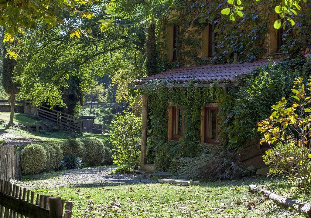 Masia El Moli De Can Aulet Vendégház Arbúcies Kültér fotó