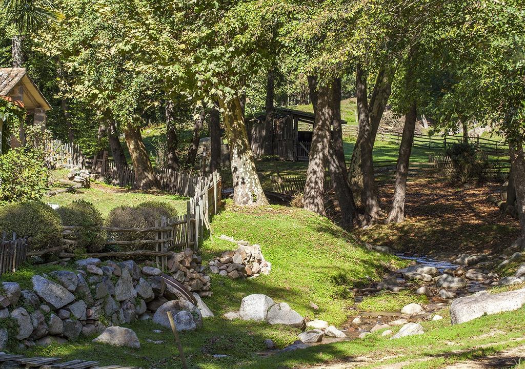 Masia El Moli De Can Aulet Vendégház Arbúcies Kültér fotó